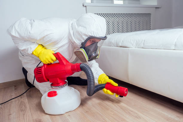Best Flea Control Services  in Balm, FL