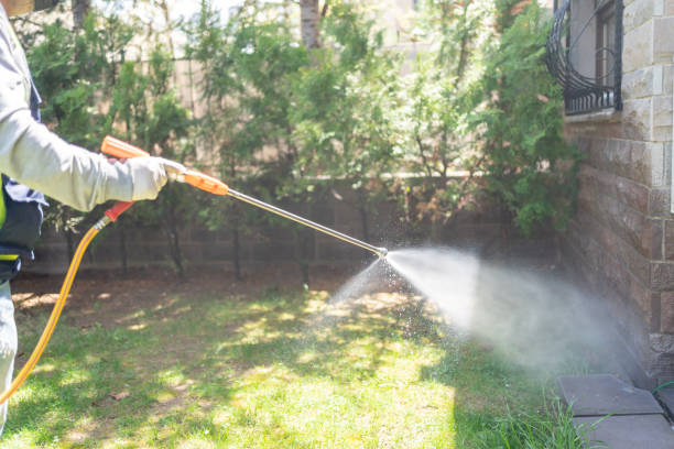 Best Flea Control Services  in Balm, FL