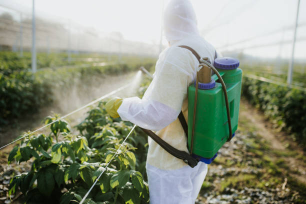Best Local Pest Control Services  in Balm, FL